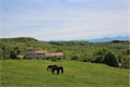 Image du bien UBI471435851